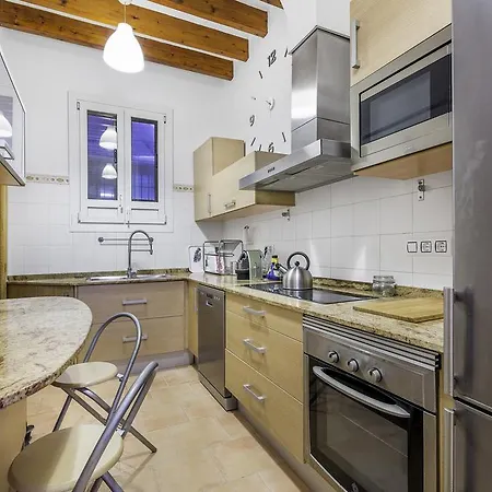 Duplex Placa D'en Coll Apartment Palma de Mallorca